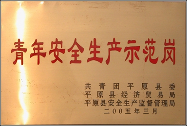 青年安全生產(chǎn)示范崗